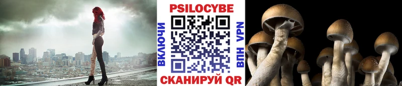 Псилоцибиновые грибы Psilocybe  Купить  Псков 