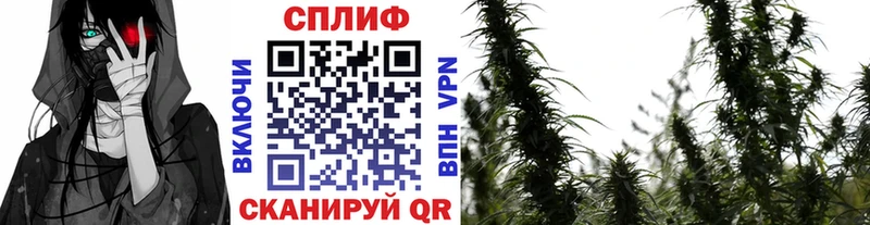 Купить  Псков  Бошки марихуана Ganja 